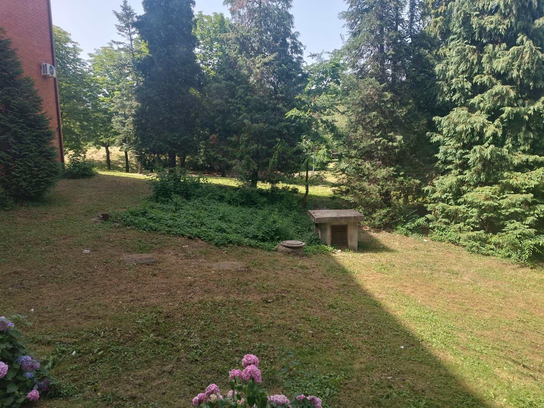 Komodraž kod Farmaceutskog